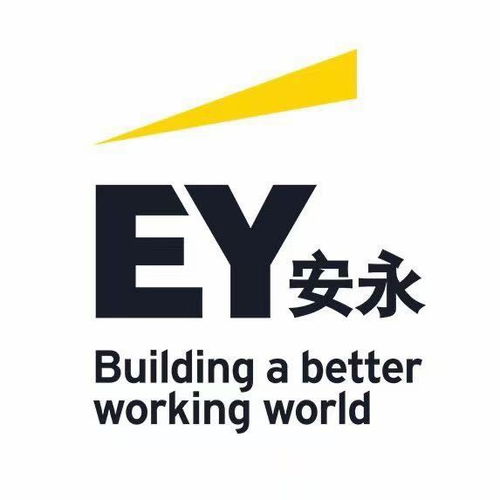 金融科技创新团队的实地实习 探索金融信息咨询的未来